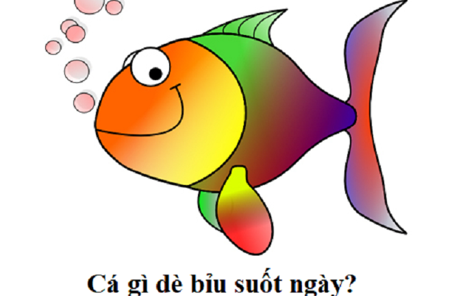 Cá gì dè bỉu suốt ngày?