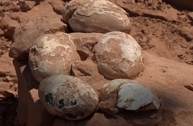 Kinh ngạc phát hiện ổ trứng khủng long 60 triệu năm tuổi 