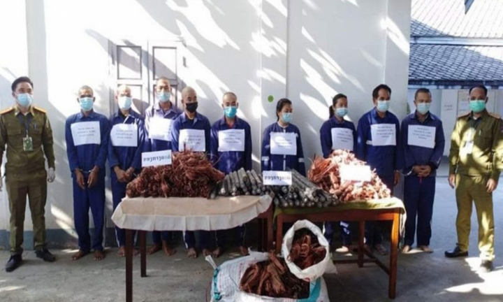 Cáp điện đường sắt Lào - Trung Quốc liên tục bị 'cáp tặc' ra tay