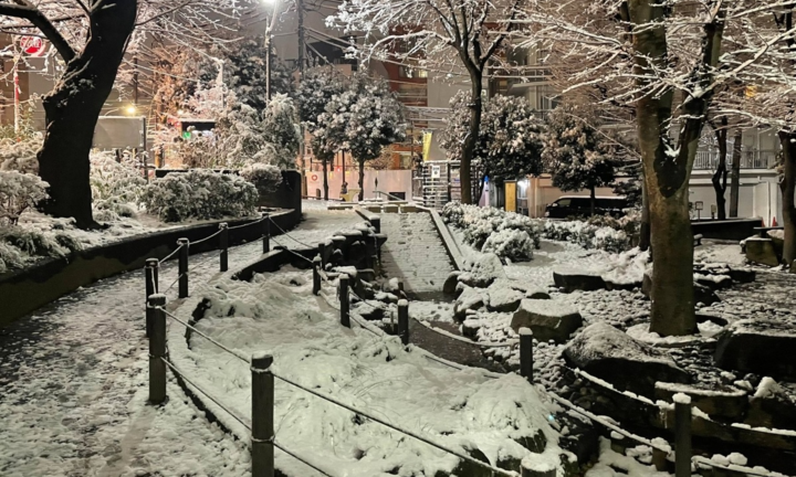 Cảnh tuyết đêm đẹp như cổ tích ở Nhật Bản