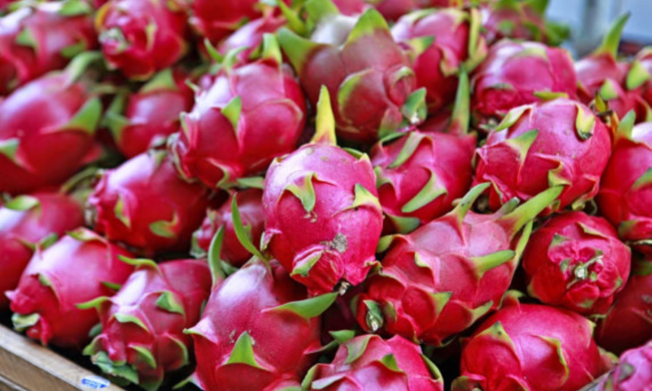 Long An kêu gọi 'giải cứu' 26.000 tấn thanh long