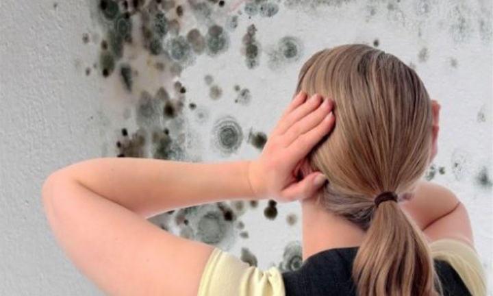 10 mẹo ngăn nấm mốc trong nhà những ngày ẩm ướt