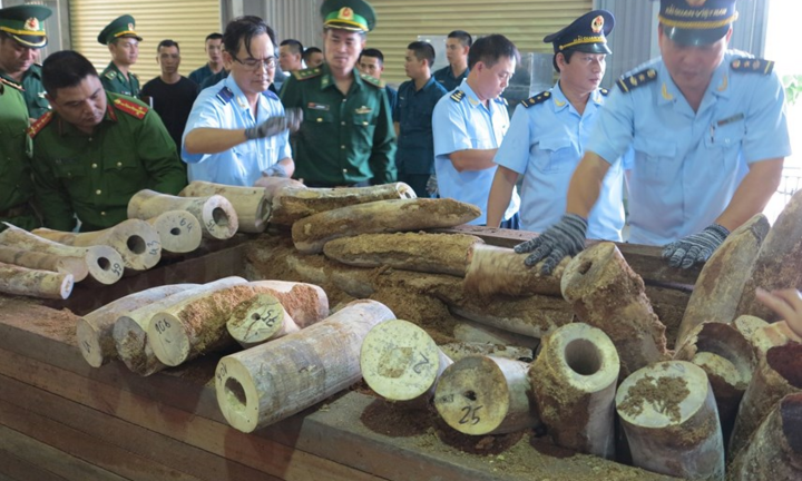 Bắt giữ lô hàng vẩy tê tê, ngà voi nhập lậu qua Cảng Tiên Sa gần 50 triệu USD