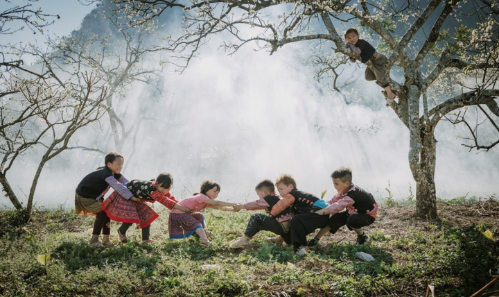 Ảnh: Trẻ em vùng cao vui đùa giữa rừng hoa mận trắng xoá