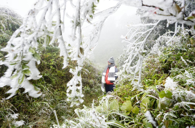 Thời tiết ngày 17/1: Miền Bắc mưa rét, đề phòng mưa đá và băng giá