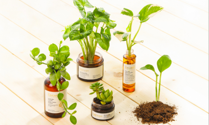 Hành trình truyền cảm hứng sống xanh của mỹ phẩm Việt thuần chay Cocoon