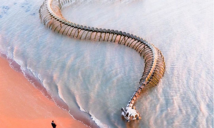 ‘Bộ xương rắn khổng lồ’ trồi lên giữa bờ biển thu hút du khách đến check-in 