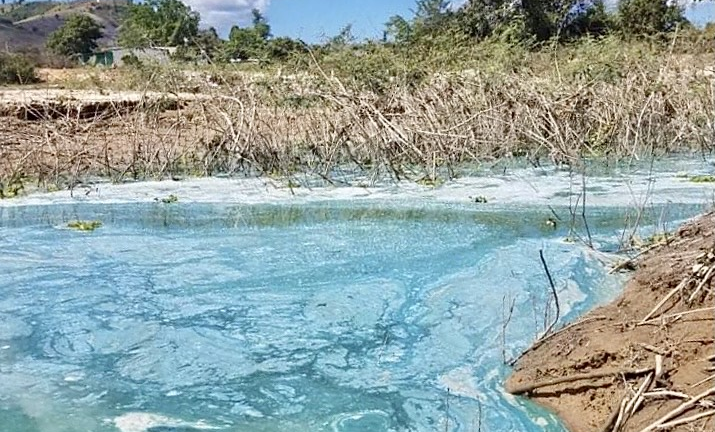 Ảnh: Người dân khốn khổ sống cạnh hồ thủy điện nổi váng, bốc mùi hôi ở Kon Tum