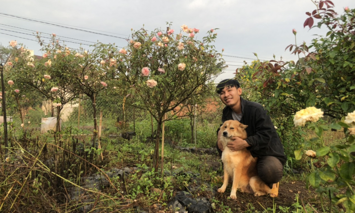 9X từng bóc mít thuê trở thành chủ vườn hồng 'đẹp như cổ tích' ở tuổi 26