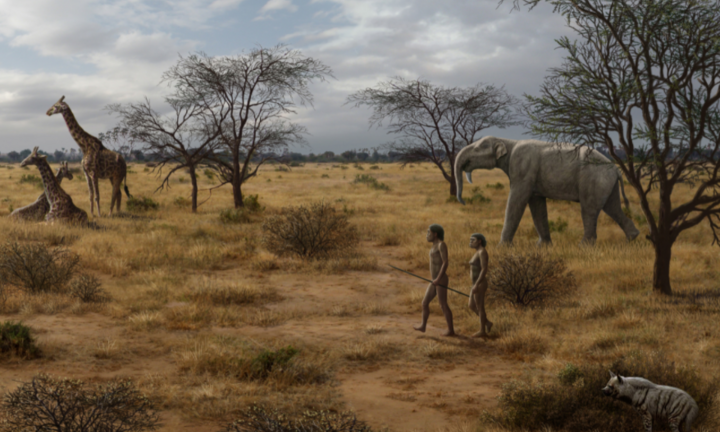 Hai triệu năm trước, một món ăn biến vượn nhân hình thành người?