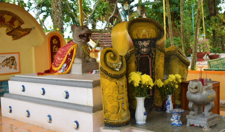 Năm Dần về xứ cù lao nghe chuyện ông Hổ báo ơn