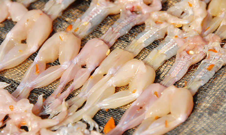 'Vũ nữ chân dài' - Đặc sản miền Tây, dịp Tết cháy hàng dù 500.000 đồng/ký