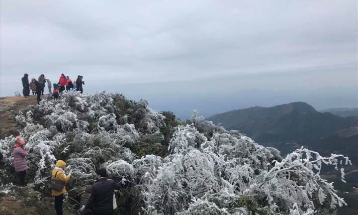 Thời tiết mùng 2 Tết: Miền Bắc rét đậm rét hại, vùng núi có nơi dưới 3 độ C