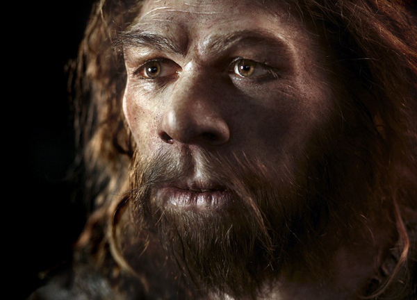 Những năng lực 'siêu nhân' có thực từ người khác loài đã tuyệt chủng