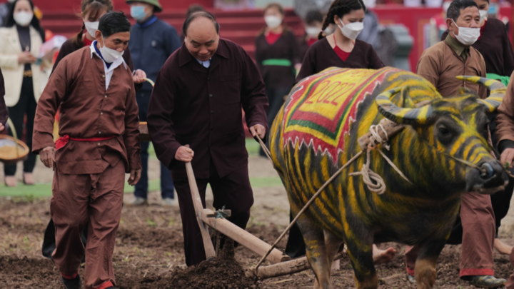 Video: Chủ tịch nước xuống đồng cày ruộng trong lễ hội Tịch điền