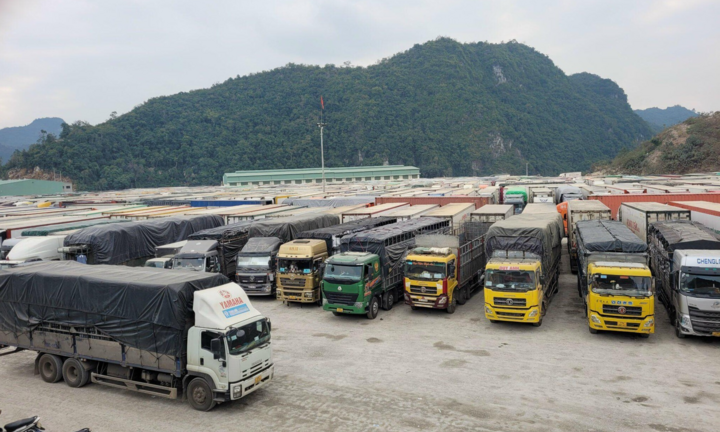 Xử lý nghiêm hành vi lợi dụng ùn tắc hàng hoá để phạm pháp