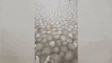 Video: Chiêm ngưỡng hàng nghìn 'bong bóng băng' dưới hồ nước