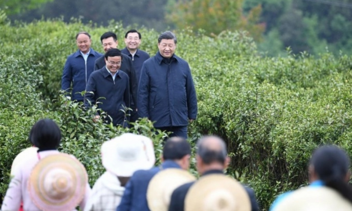 Ông Tập Cận Bình với tham vọng chấn hưng nông thôn Trung Quốc