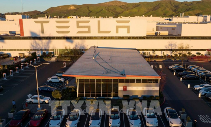 Hơn 400.000 ôtô điện Tesla đang bị điều tra vì sự cố phanh ảo