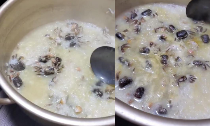 Bạn thân vào bếp nấu cháo cua, đến khi mở nắp nồi ai nấy đều liền đòi ‘quay xe’