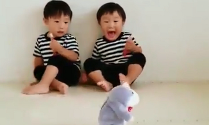 Món đồ chơi khiến cặp song sinh khóc toáng
