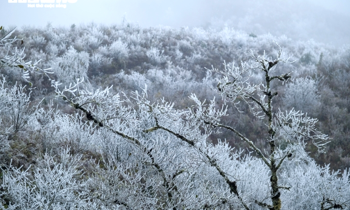 Ảnh: Băng tuyết phủ trắng xóa núi đồi, xã biên giới ở Lào Cai đẹp như trời Tây