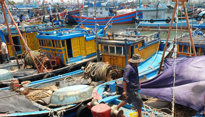 Ngư dân trong 'cơn bão' giá dầu: 'Ra khơi có còn lời lãi được đồng nào không'