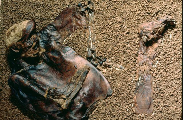Xác ướp người đàn ông 2.000 năm còn nguyên vẹn hé lộ lễ hiến tế rùng rợn