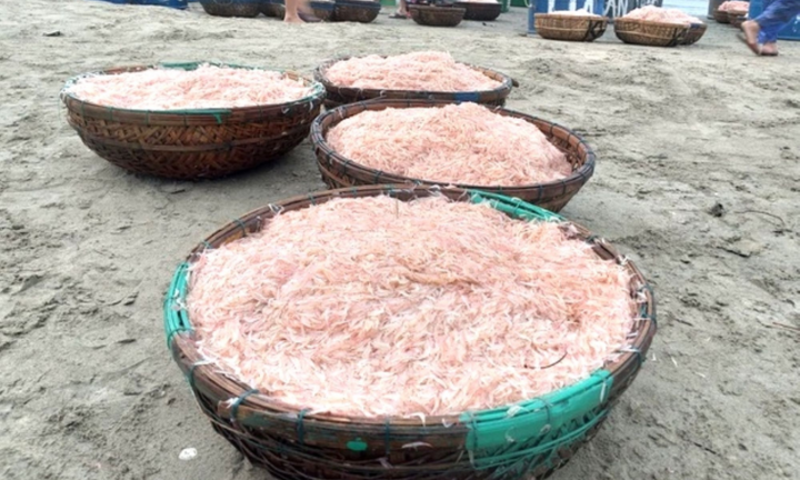 Đà Nẵng: Đề nghị làm rõ 'dung dịch màu đỏ' nhuộm tươi tép biển