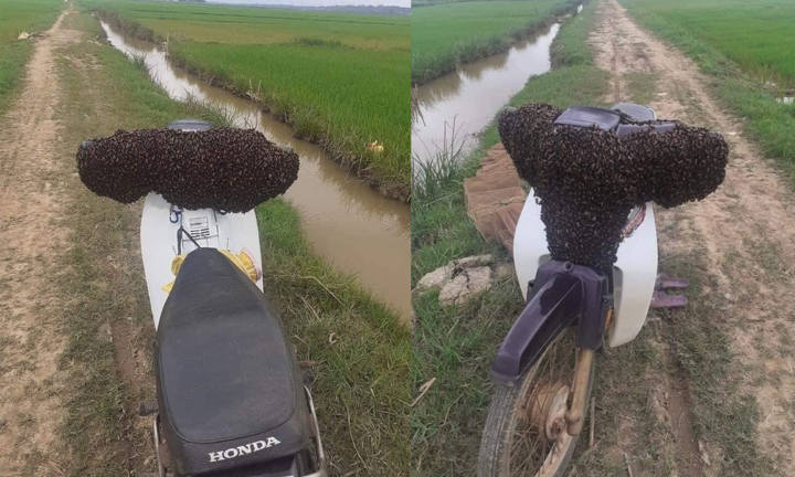 Để xe giữa đồng bị ‘kẻ lạ chiếm’, cầu cứu dân mạng thì được hiến kế càng tức hơn