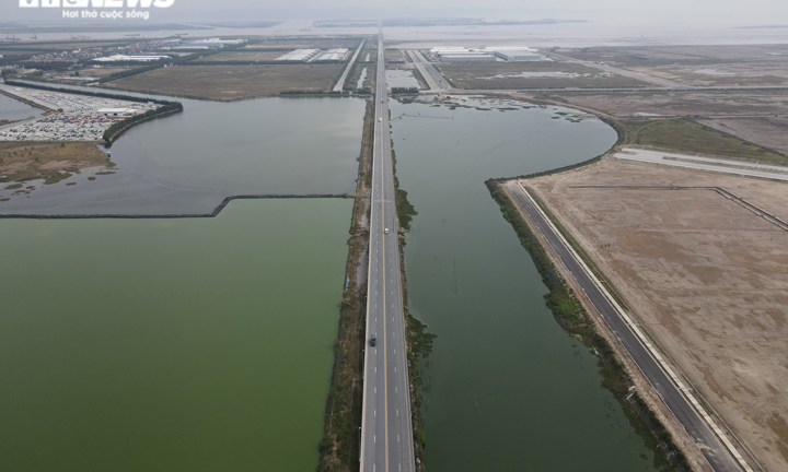 Ảnh: Ao tù khổng lồ bên cánh rừng phòng hộ chết khô ở Hải Phòng