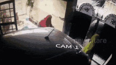 Video: Bò tót hung hãn húc tung cổng nhà, 2 người bị thương 