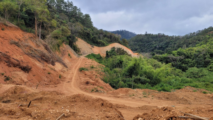San ủi rừng quốc gia để làm đường: Đề nghị chuyển cơ quan điều tra