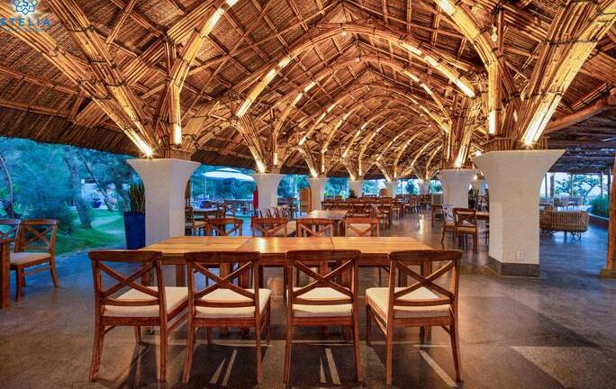 Vườn bia ngon nhất Tuy Hòa Nhà tre Gozo Brew House sẵn sàng đón du khách