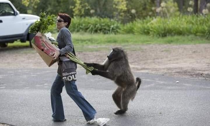 'Ét o ét' là gì mà dậy sóng mạng xã hội?