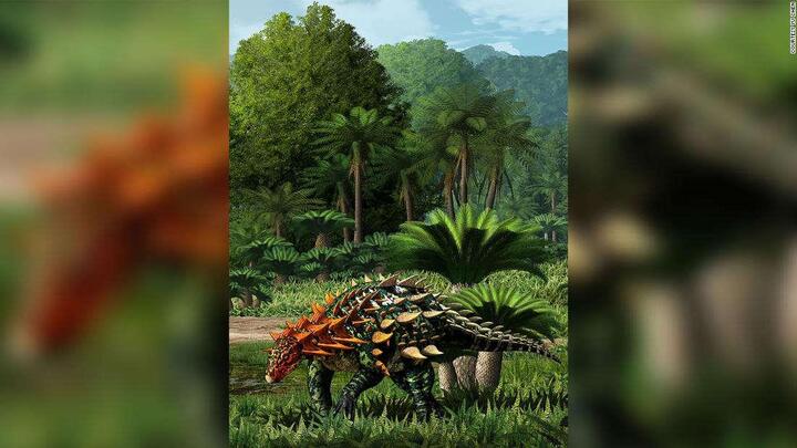 Phát hiện loài khủng long bọc thép mới tại Trung Quốc