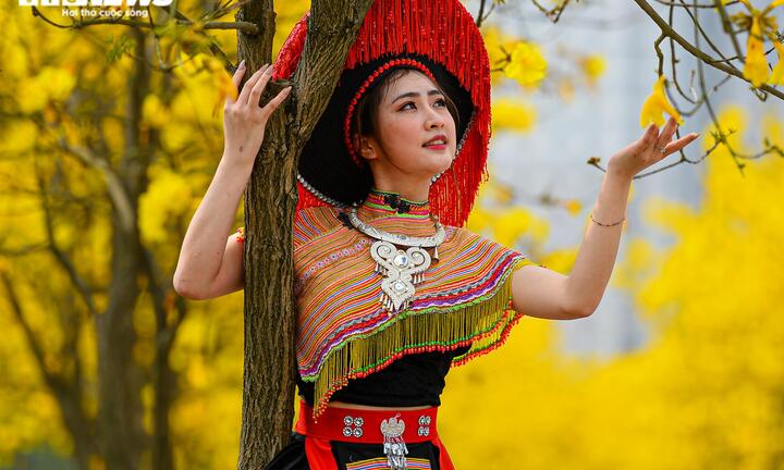 Đường hoa phong linh và những địa điểm check in sống ảo hút giới trẻ Hà Nội