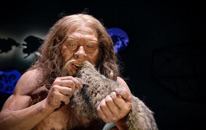 Bị thỏ đánh bại, một loài người 'siêu nhân' tuyệt chủng