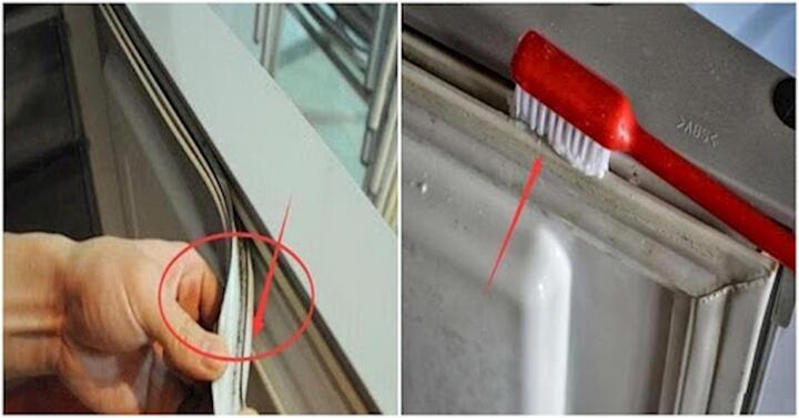 Cách tẩy vết mốc tủ lạnh hiệu quả 