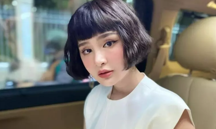 Hiền Hồ bị hủy show 