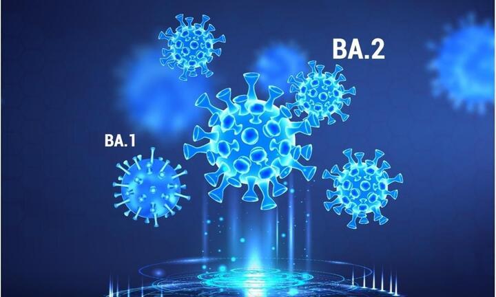 Chưa thể kết luận Omicron là biến chủng kết thúc đại dịch