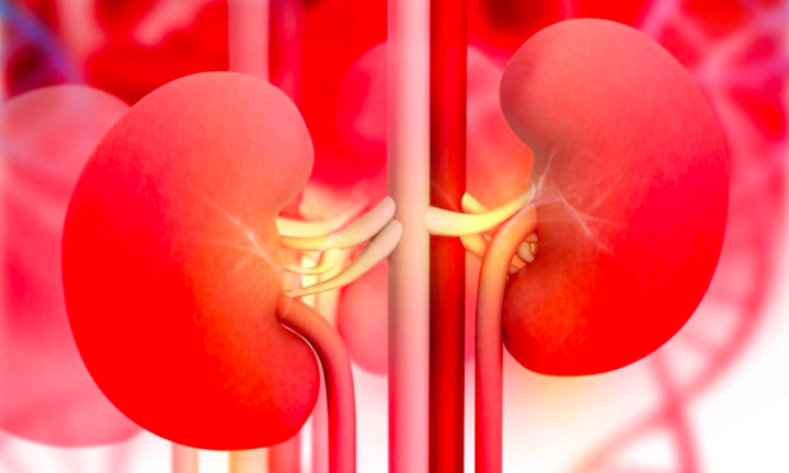 6 dấu hiệu sớm cảnh báo bệnh thận, khi gặp vấn đề thì nên đi khám ngay