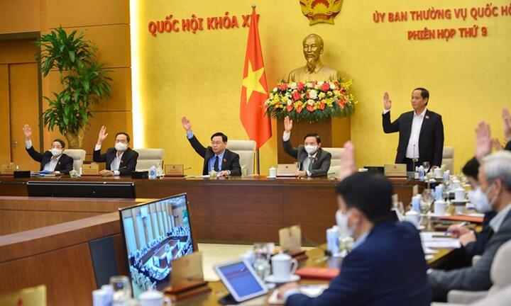 Ngăn chặn, xử lý các trường hợp trúng đấu giá đất rồi không thực hiện cam kết