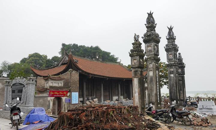 Hà Nội: Chặt cây đa để tu sửa đình Chèm là sai quy định