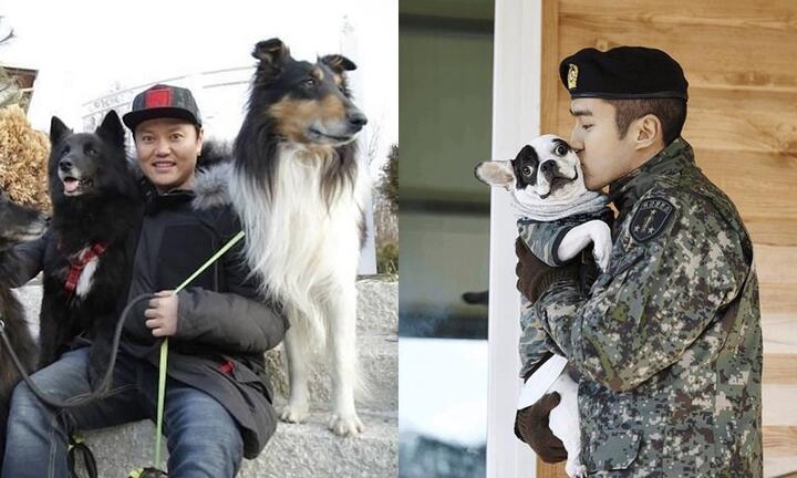 Sao Hàn gây phẫn nộ vì để chó cắn người: Người bị tù treo, kẻ nộp phạt 1 triệu