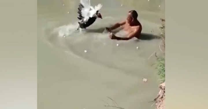 Ngan nổi điên mổ đánh người vì xin ăn không được