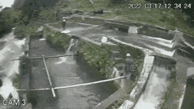 Video: Sập tường ao cá, người phụ nữ bị cuốn trôi hơn 1 km