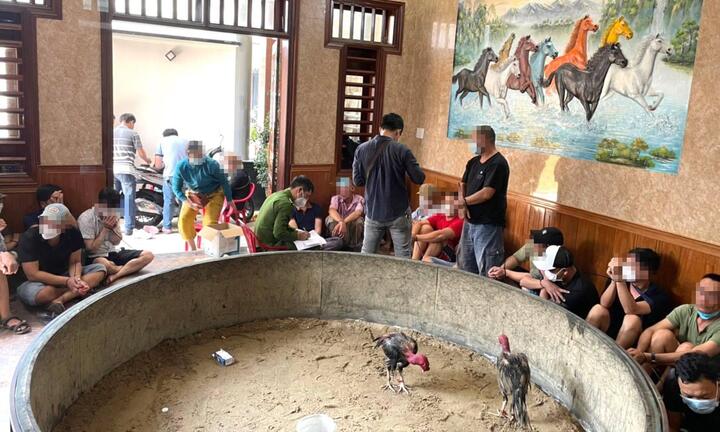 Công an đột kích sới đá gà có số tiền cá độ 500 triệu đồng 
