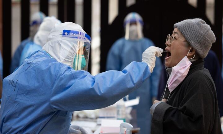 WHO: COVID-19 lắng dịu trên toàn cầu, Omicron chiếm 99,8% ca nhiễm