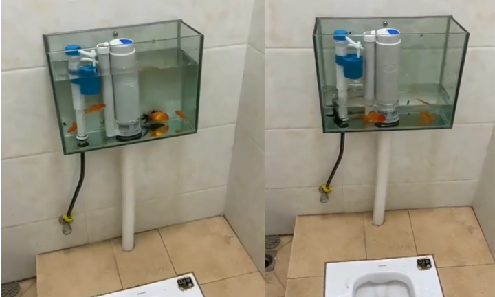 Toilet tự chế với bồn nước chứa vật khó tin, kết quả khi nhấn xả gây xôn xao